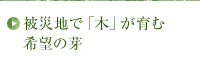 被災地で「木」が育む希望の芽