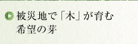 被災地で「木」が育む希望の芽