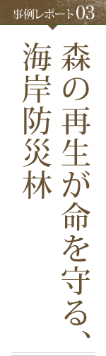 事例レポート03 森の再生が命を守る、海岸防災林