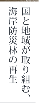 国と地域が取り組む、海岸防災林の再生