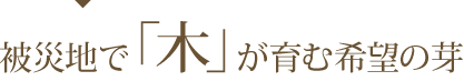 被災地で「木」が育む希望の芽