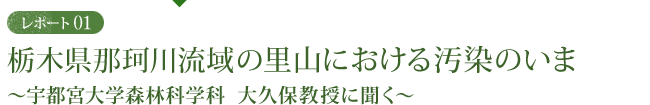 レポート01 栃木県那珂川流域の里山における汚染のいま ～宇都宮大学森林科学科 大久保教授に聞く～