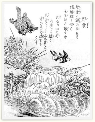 鳥山石燕『今昔画図続百鬼』より「野衾」（のぶすま）