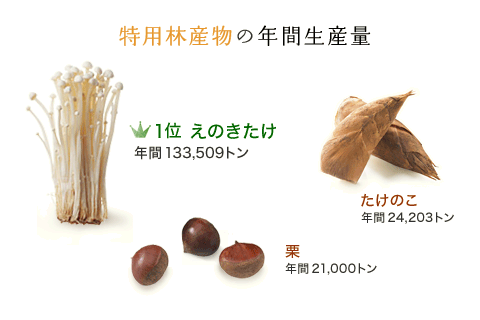 特用林産物の年間生産量