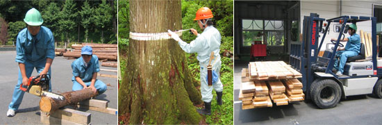 静岡県立天竜林業高等学校／森林科学科