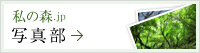 私の森.jp 写真部