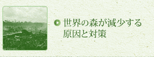 世界の森が減少する原因と対策