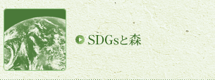 SDGsと森