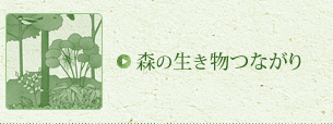 森の生き物つながり