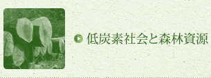 低炭素社会と森林資源