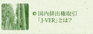 国内排出権取引「J-VER」とは