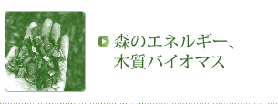 森のエネルギー、木質バイオマス