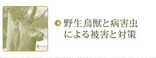 野生鳥獣と病害虫による被害と対策