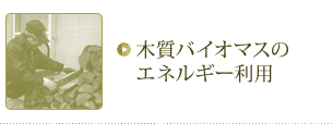 木質バイオマスのエネルギー利用