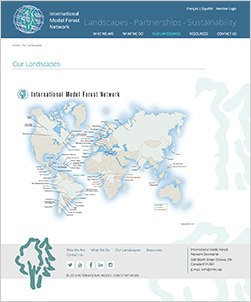 国際モデルフォレストネットワークのwebサイト