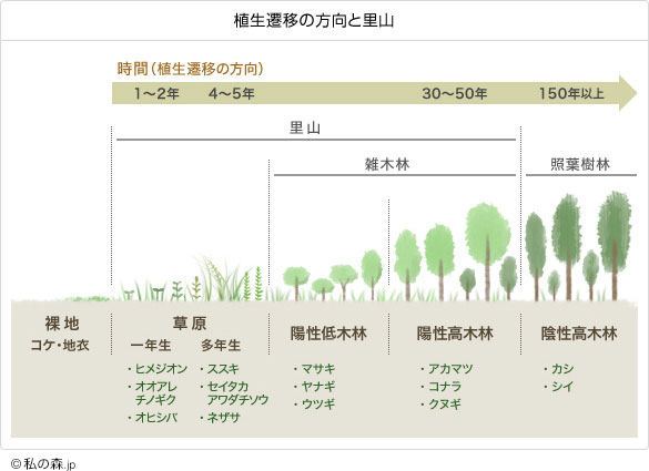 植生遷移の方向と里山