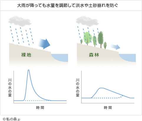 大雨が降っても水量を調整して洪水や土砂崩れを防ぐ