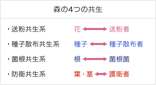 森の4つの共生