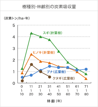 樹種別・林齢別炭素吸収量