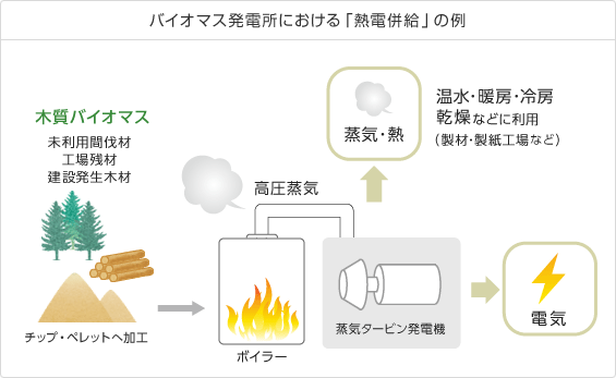 バイオマス発電所における「熱電併給」の例