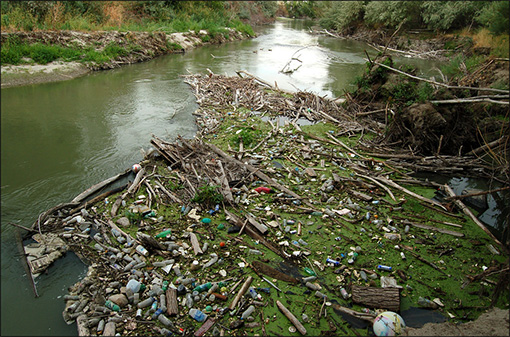 プラスチックごみによる汚染