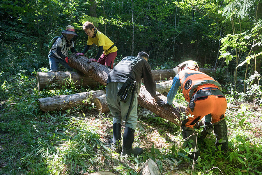 森林資源の再活用イメージ１