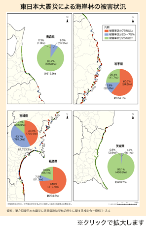 東日本大震災による海岸林の被害状況
