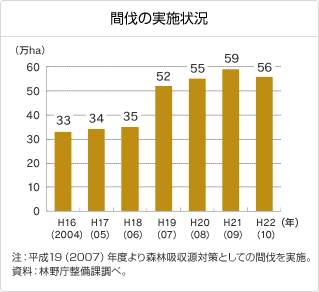 間伐の実施状況