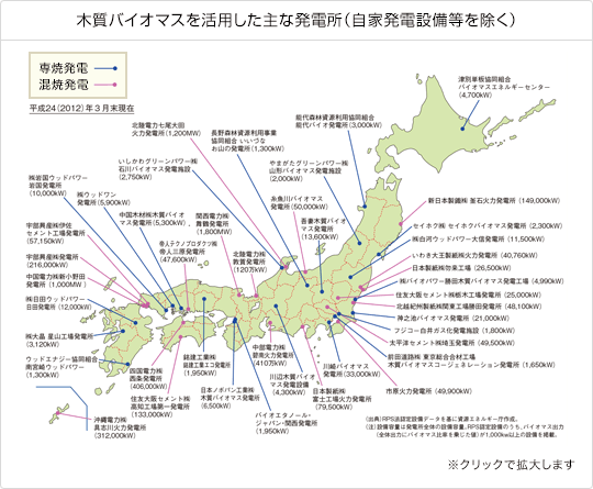 木質バイオマスを活用した主な発電所（自家発電設備等を除く）