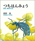 つちはんみょう OIL BEETLE