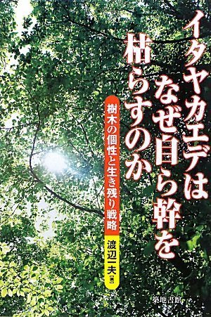 イタヤカエデはなぜ自ら幹を枯らすのか―樹木の個性と生き残り戦略