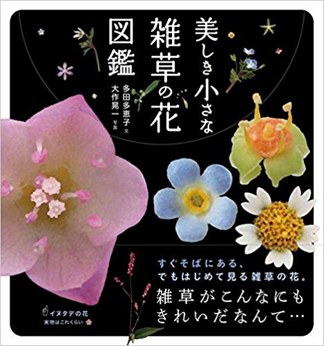 美しき小さな雑草の花図鑑