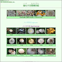 「進化する菌類図鑑（キノコ図鑑）」のWebサイト