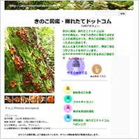 「きのこ図鑑・撮れたてドットコム　」のWebサイト