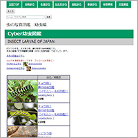 「Cyber幼虫図鑑」のWebサイト