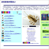 「水生昆虫写真館」のWebサイト
