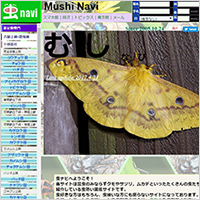 「虫ナビ」のWebサイト