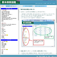 「樹木検索図鑑（千葉県立中央博物館）」のWebサイト