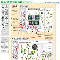 「野草・雑草検索図鑑」のWebサイト