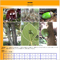 「樹木図鑑～かぎけんWEB」のWebサイト