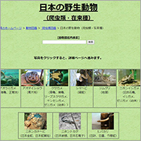 「日本の野生動物（爬虫類・在来種）」のWebサイト
