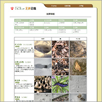 「足跡図鑑」のWebサイト