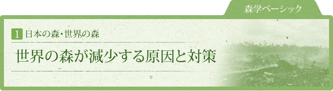 森学ベーシック：1.日本の森・世界の森：世界の森が減少する原因と対策