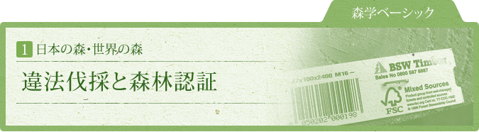 森学ベーシック：1.日本の森・世界の森：違法伐採と森林認証