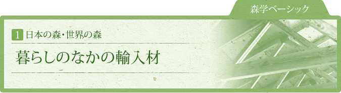 森学ベーシック：1.日本の森・世界の森：暮らしのなかの輸入材