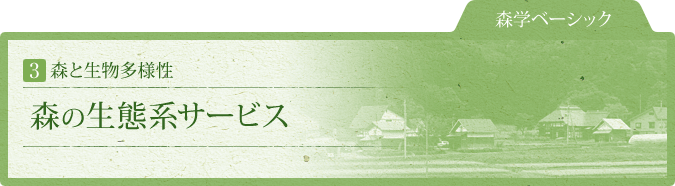 森学ベーシック：3 森と生物多様性：森の生態系サービス