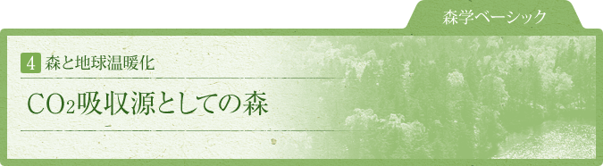 森学ベーシック：4.森と地球温暖化：CO2吸収源としての森