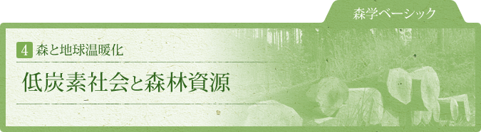 森学ベーシック：4.森と地球温暖化：低炭素社会と森林資源