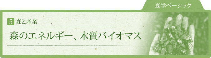 森学ベーシック：5.森と産業：森のエネルギー、木質バイオマス