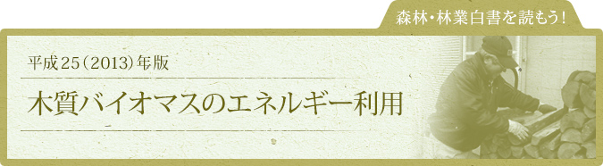 森林・林業白書を読もう！：平成25（2013）年版：木質バイオマスのエネルギー利用